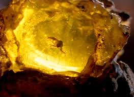 amber